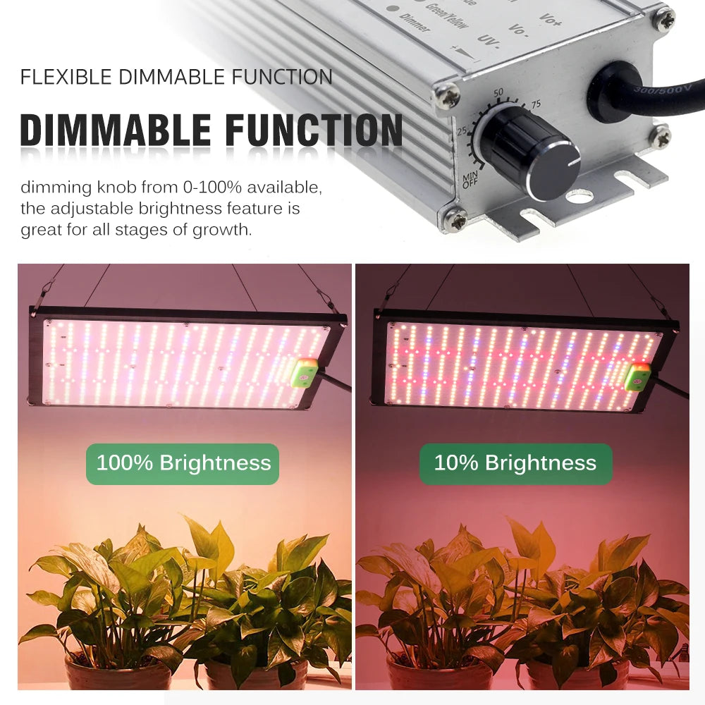 AC100-277V LED élèvent la lumière haute luminosité 120W 240W LM301H LED puce lampe de croissance pour plantes d'intérieur de serre