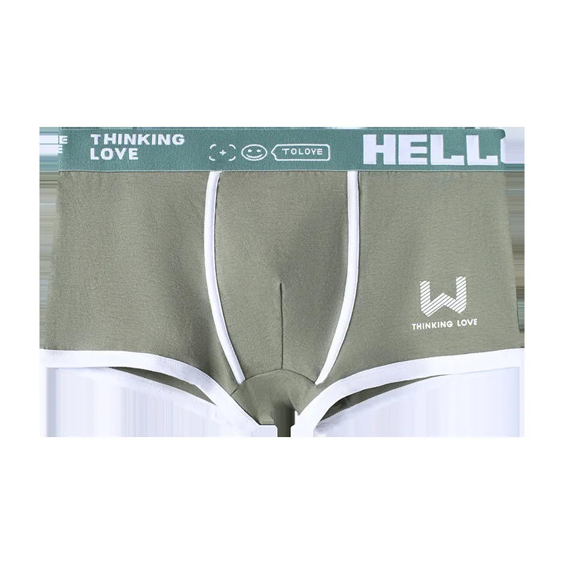 Hommes culottes coton BoxerShorts sous-vêtements pour hommes boxeurs pour hommes respirant U convexe mâle caleçon Sexy grande taille cuecas calzoncillos