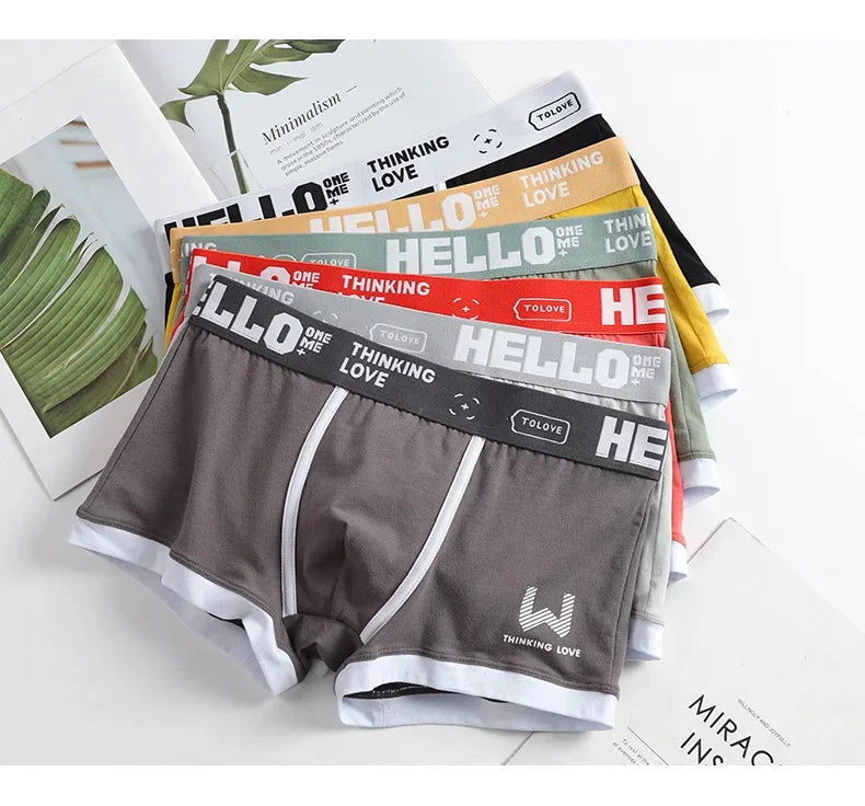 Hommes culottes coton BoxerShorts sous-vêtements pour hommes boxeurs pour hommes respirant U convexe mâle caleçon Sexy grande taille cuecas calzoncillos