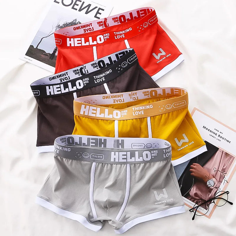 Hommes culottes coton BoxerShorts sous-vêtements pour hommes boxeurs pour hommes respirant U convexe mâle caleçon Sexy grande taille cuecas calzoncillos