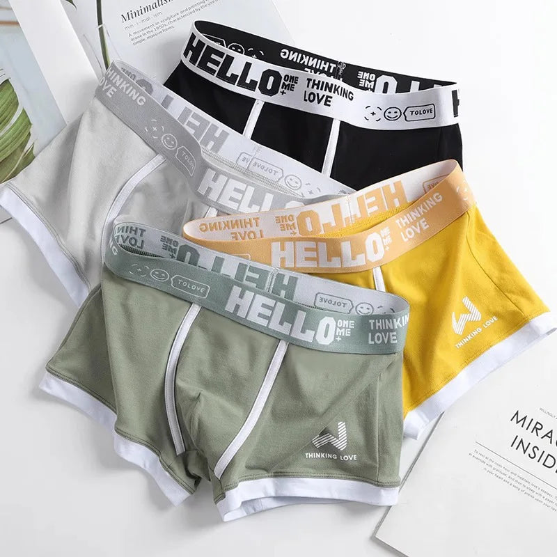 Hommes culottes coton BoxerShorts sous-vêtements pour hommes boxeurs pour hommes respirant U convexe mâle caleçon Sexy grande taille cuecas calzoncillos