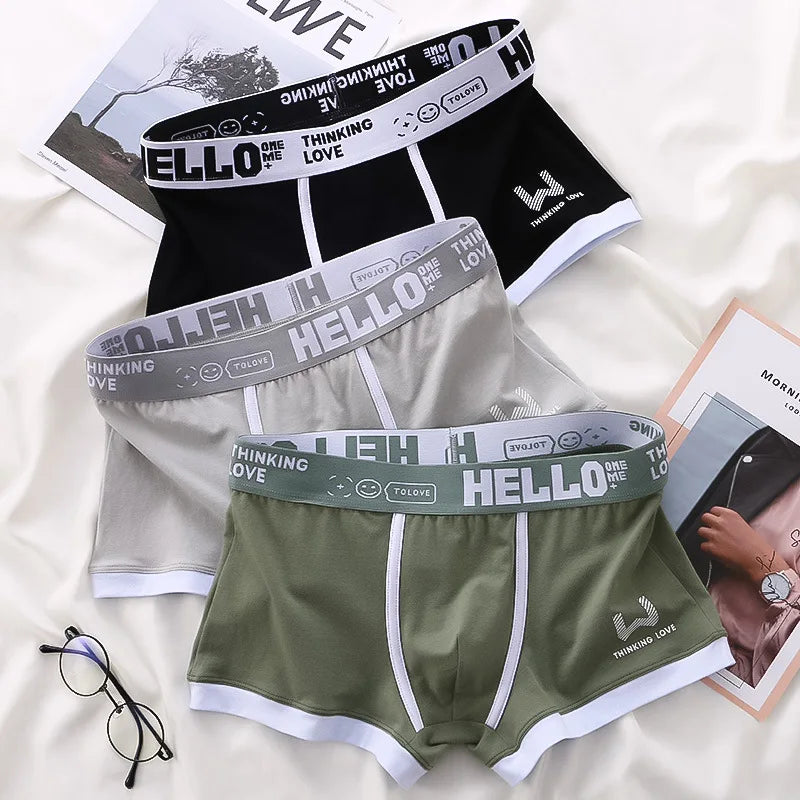 Hommes culottes coton BoxerShorts sous-vêtements pour hommes boxeurs pour hommes respirant U convexe mâle caleçon Sexy grande taille cuecas calzoncillos