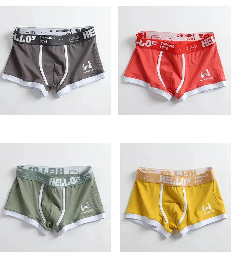 Hommes culottes coton BoxerShorts sous-vêtements pour hommes boxeurs pour hommes respirant U convexe mâle caleçon Sexy grande taille cuecas calzoncillos