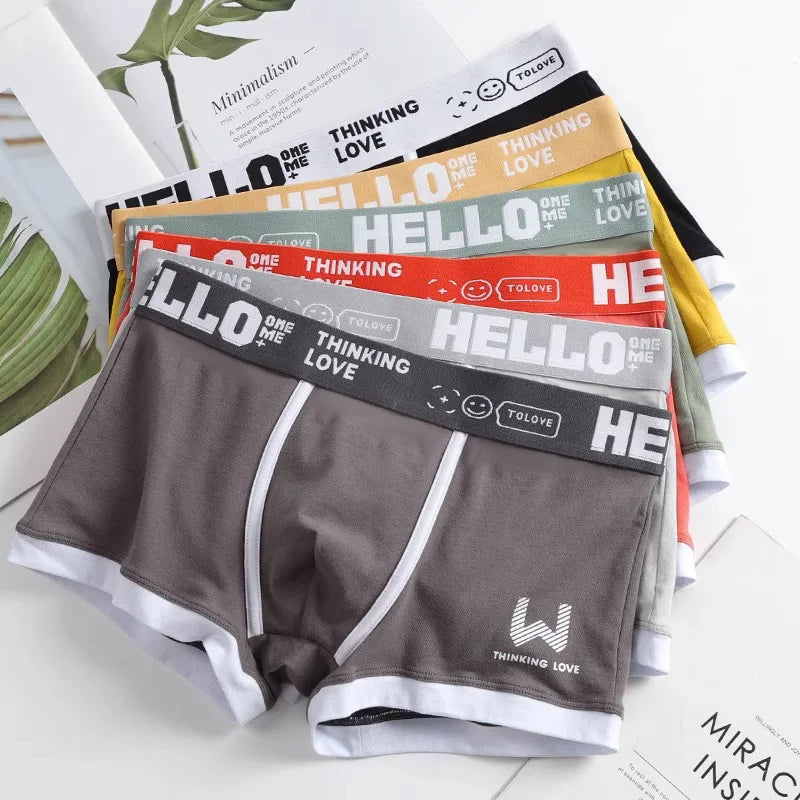 Hommes culottes coton BoxerShorts sous-vêtements pour hommes boxeurs pour hommes respirant U convexe mâle caleçon Sexy grande taille cuecas calzoncillos