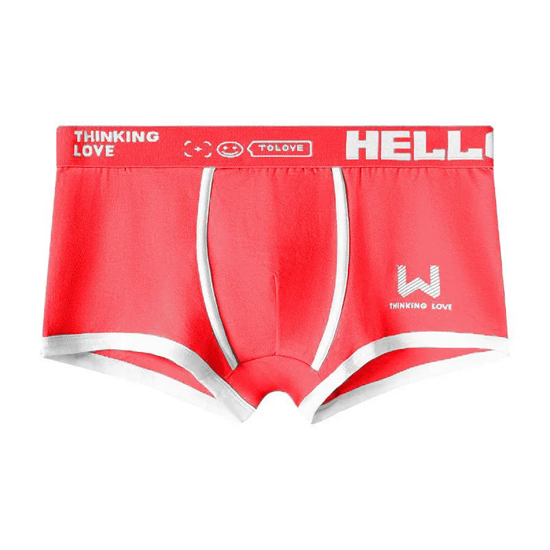 Hommes culottes coton BoxerShorts sous-vêtements pour hommes boxeurs pour hommes respirant U convexe mâle caleçon Sexy grande taille cuecas calzoncillos