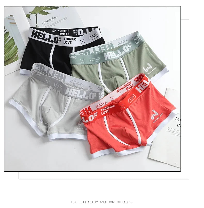 Hommes culottes coton BoxerShorts sous-vêtements pour hommes boxeurs pour hommes respirant U convexe mâle caleçon Sexy grande taille cuecas calzoncillos