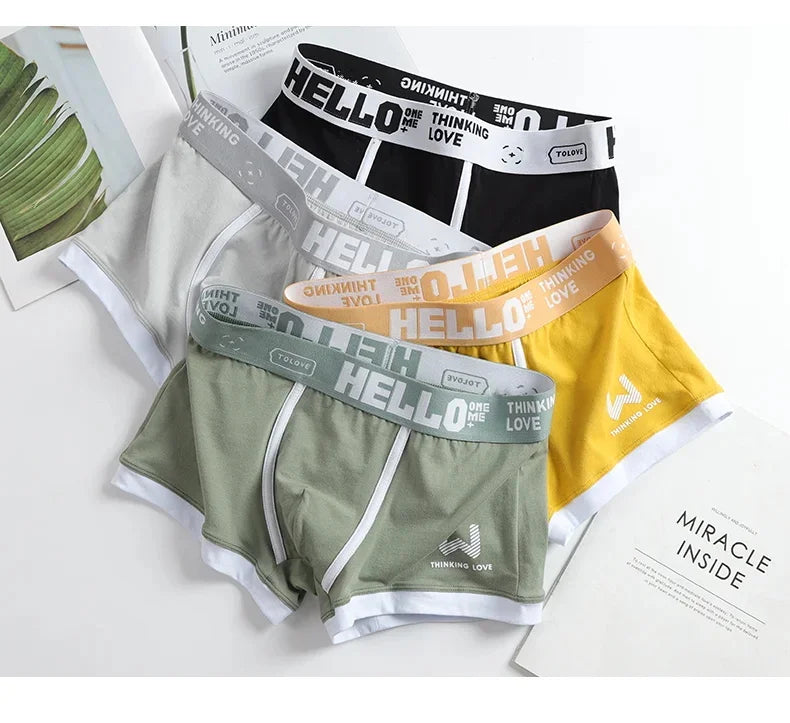 Hommes culottes coton BoxerShorts sous-vêtements pour hommes boxeurs pour hommes respirant U convexe mâle caleçon Sexy grande taille cuecas calzoncillos
