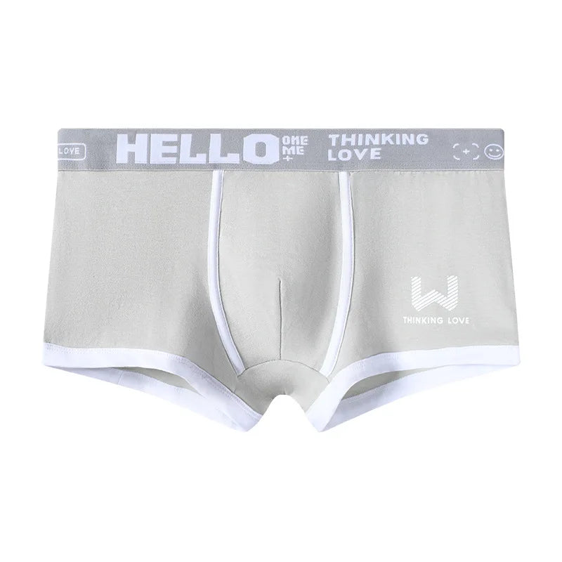 Hommes culottes coton BoxerShorts sous-vêtements pour hommes boxeurs pour hommes respirant U convexe mâle caleçon Sexy grande taille cuecas calzoncillos