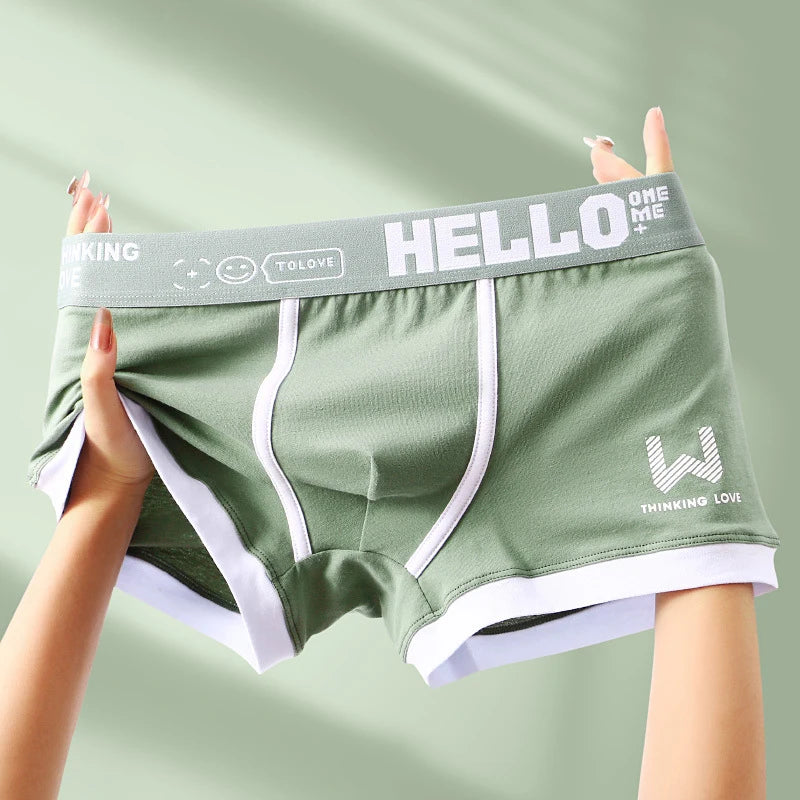 Hommes culottes coton BoxerShorts sous-vêtements pour hommes boxeurs pour hommes respirant U convexe mâle caleçon Sexy grande taille cuecas calzoncillos
