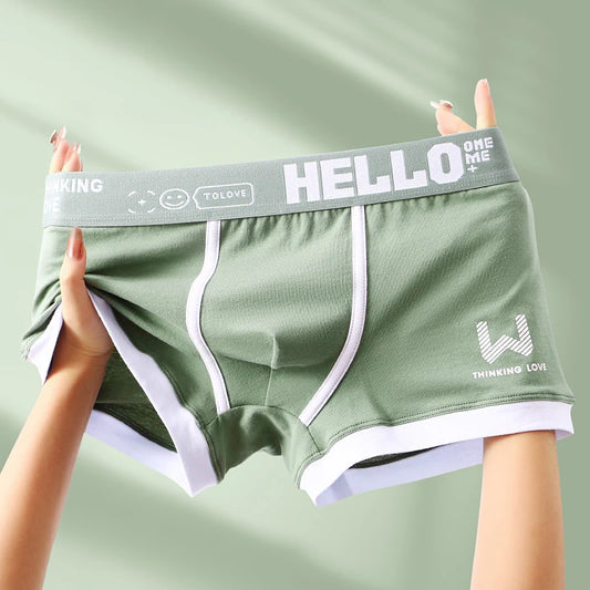 Hommes culottes coton BoxerShorts sous-vêtements pour hommes boxeurs pour hommes respirant U convexe mâle caleçon Sexy grande taille cuecas calzoncillos