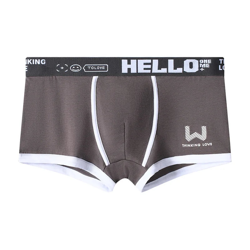 Hommes culottes coton BoxerShorts sous-vêtements pour hommes boxeurs pour hommes respirant U convexe mâle caleçon Sexy grande taille cuecas calzoncillos