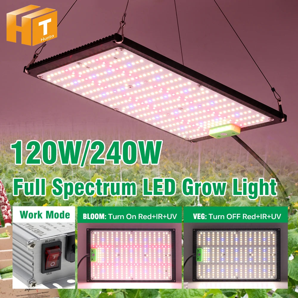 AC100-277V LED élèvent la lumière haute luminosité 120W 240W LM301H LED puce lampe de croissance pour plantes d'intérieur de serre