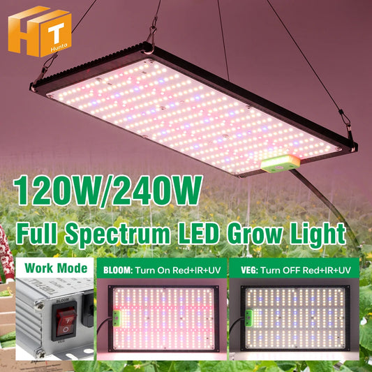 AC100-277V LED élèvent la lumière haute luminosité 120W 240W LM301H LED puce lampe de croissance pour plantes d'intérieur de serre